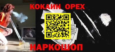 индика Новодвинск