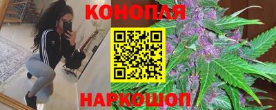 ALPHA PVP Новозыбков