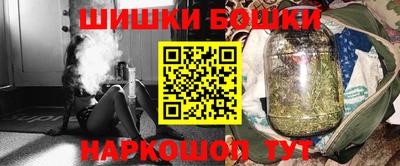 индика Новодвинск