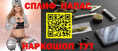 индика Новодвинск