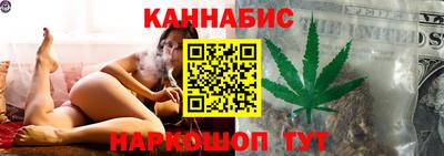 индика Новодвинск