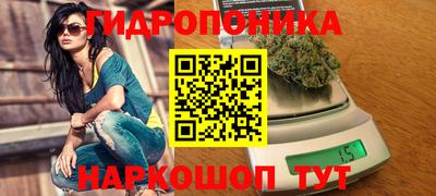 шишки Новокубанск
