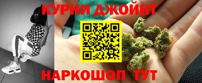 индика Новодвинск