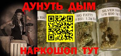 индика Новодвинск