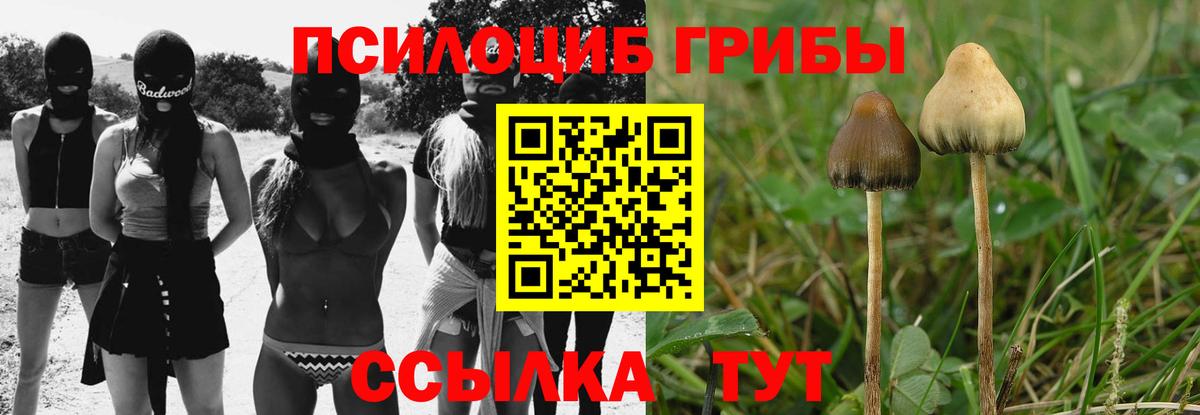 Псилоцибиновые грибы мицелий  Галлюциногенные грибы Cubensis  Вход с VPN  Узловая 