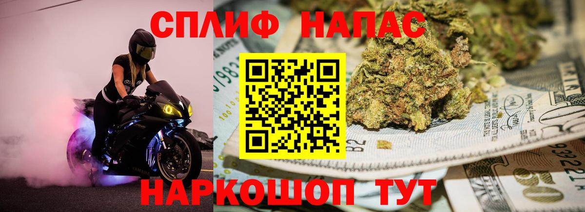 Каннабис планчик Узловая